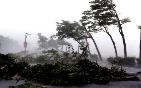 <b>最强台风“梅花”正面冲击！帕瓦莱斯小微园区项目暴风骤雨之中傲然伫立！</b> 